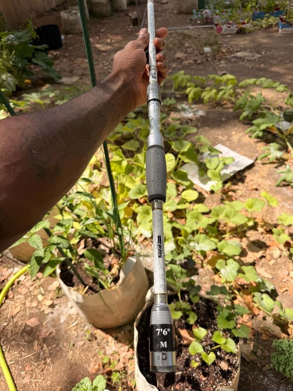 Bass Pro Shops Johnny Morris CarbonLite 2.0 Spinning Rod 7'6" M White